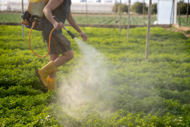 Best Pest Control Near Me  in Arkoma, OK