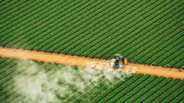 Best Best Pest Control Companies  in Arkoma, OK